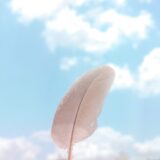 淡い空に淡いピンクの羽根